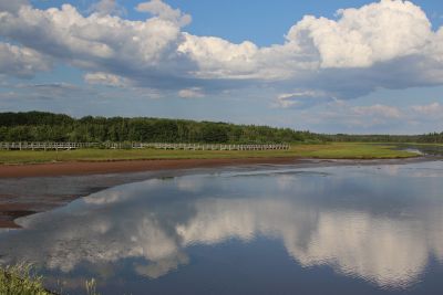 Cloud Reflection by mary hindle
